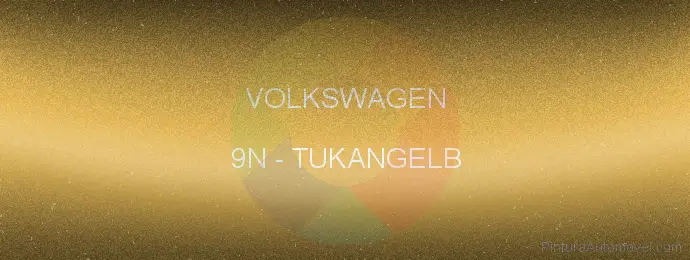 Pintura Volkswagen 9N Tukangelb